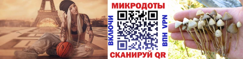 Купить  Олёкминск  Галлюциногенные грибы GOLDEN TEACHER 